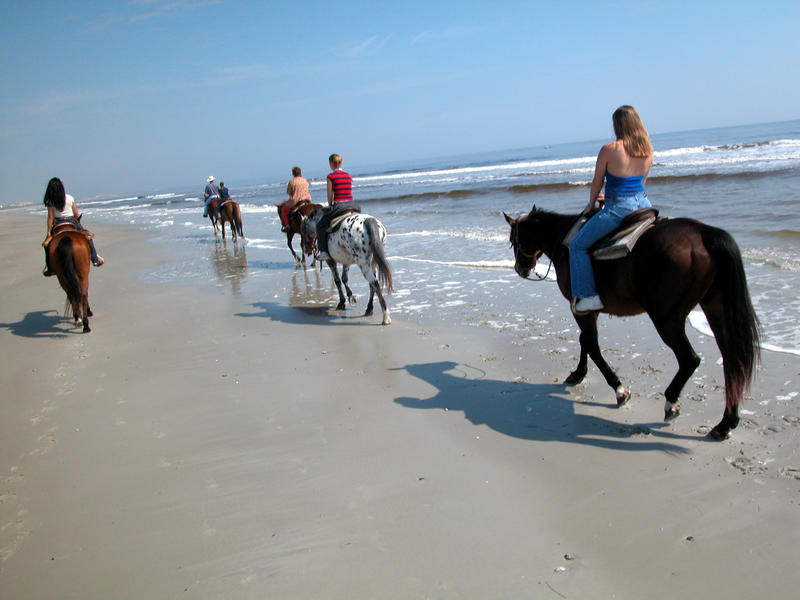 Amelia Island State Park Equestrians on the beach 2 Florida